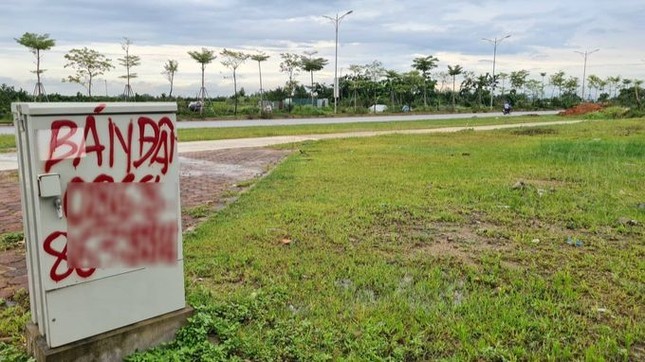 2 quận sắp thành quận của Hà Nội đấu giá hàng trăm lô đất, giá khởi điểm từ 19 triệu đồng/m2 - Ảnh 1.